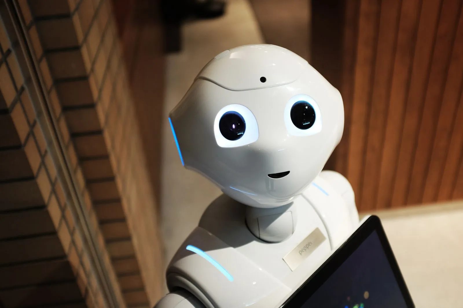 A white humanoid service robot with a tablet mounted on its chest